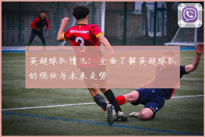 英超球队情况：全面了解英超球队的现状与未来走势