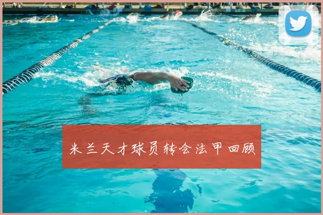 米兰天才球员转会法甲回顾