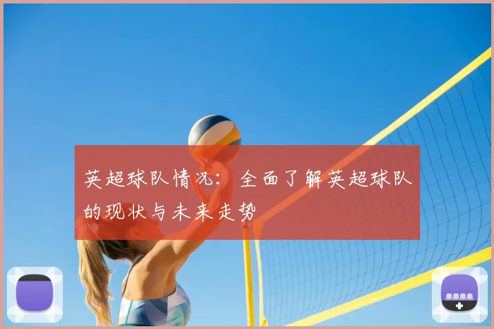 英超球队情况：全面了解英超球队的现状与未来走势